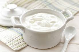 bifidobacterium no effect yogurt
